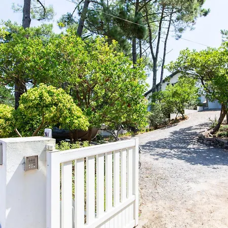 Biarritz By Interhome Appartamento *