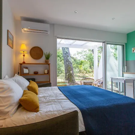 Biarritz By Interhome Apartment Capbreton