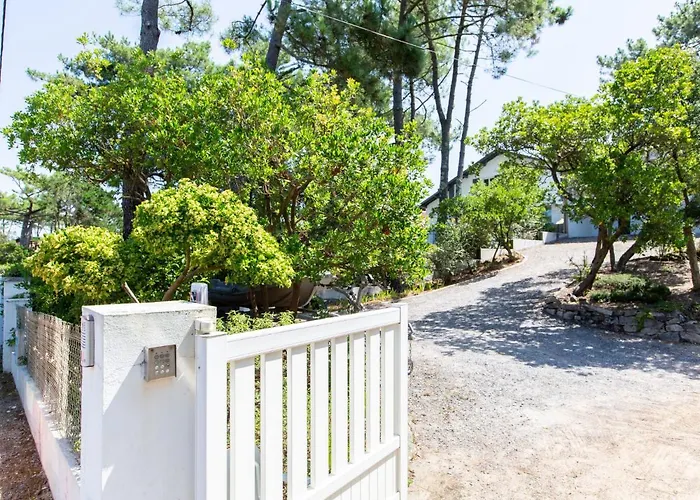 Biarritz By Interhome Lejlighed *